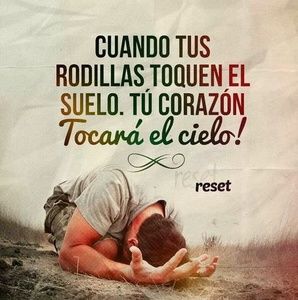 Meet your Posher, Saul